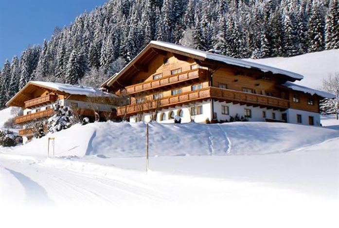 Alpin Apartments Flachau