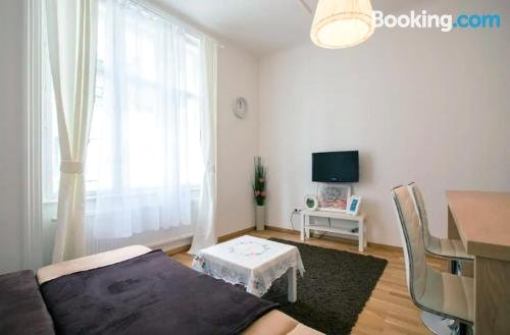 Apartment in the city center Vienna
