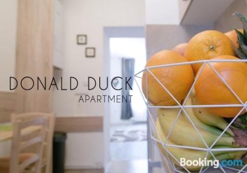 Donald Duck Apartment