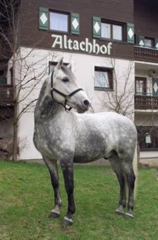 Ferienanlage Altachhof