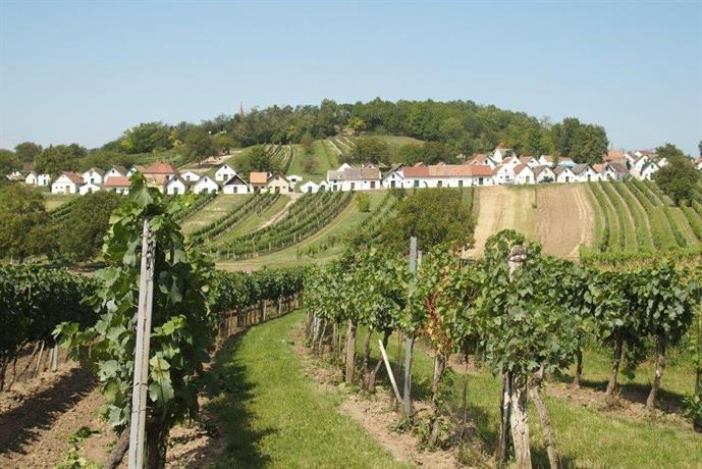Gastehaus Weinviertel - Niederosterreich