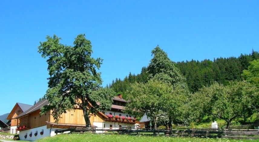 Historischer Bauernhof Schabus