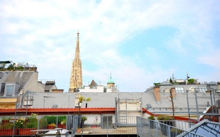 Vienna Residence Luxury apartment Vienna with roof terrace Stephen's Cathedral view