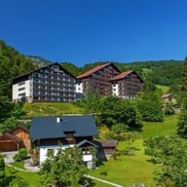 Alpenhotel Dachstein