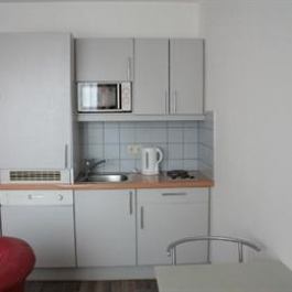 CheckVienna Apartment Rentals Vienna