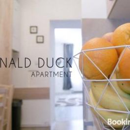 Donald Duck Apartment