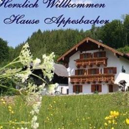 Haus Appesbacher