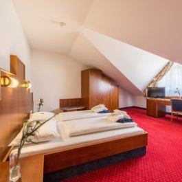 Hotel Paradies Graz