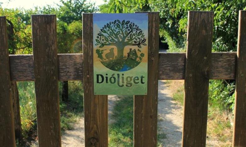 Dioliget - Zold Dio Haziko