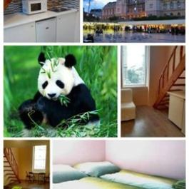 Green Panda Apartments